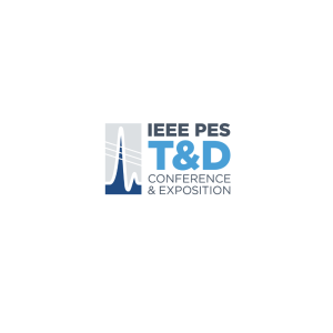 IEEE Logo neutral 